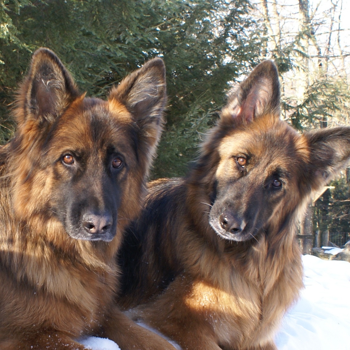 Toby and Cassie Toby and Cassie