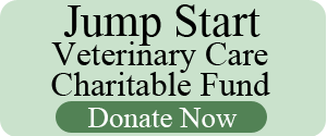 Jump Start Veterinary Care donate button
