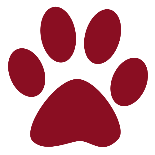 Red paw print icon