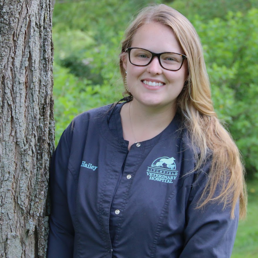 Haley- Veterinary Assistant