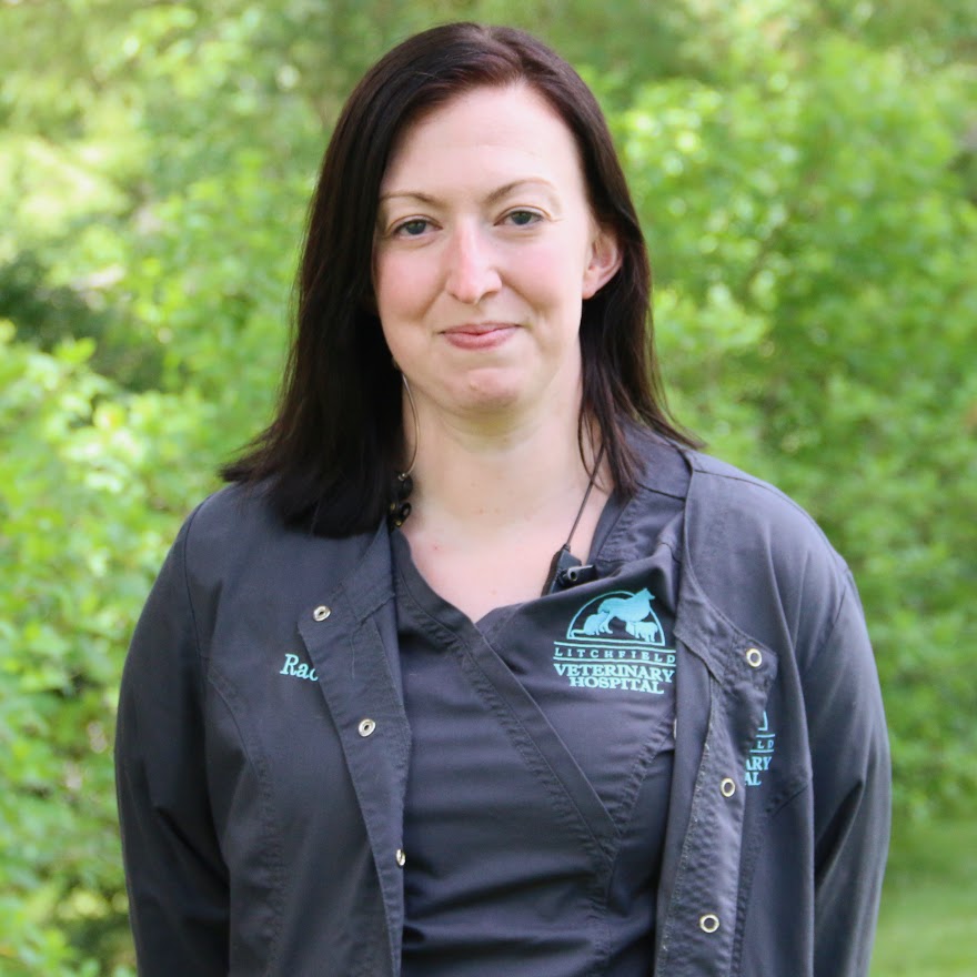 Rachael - Veterinary Assistant