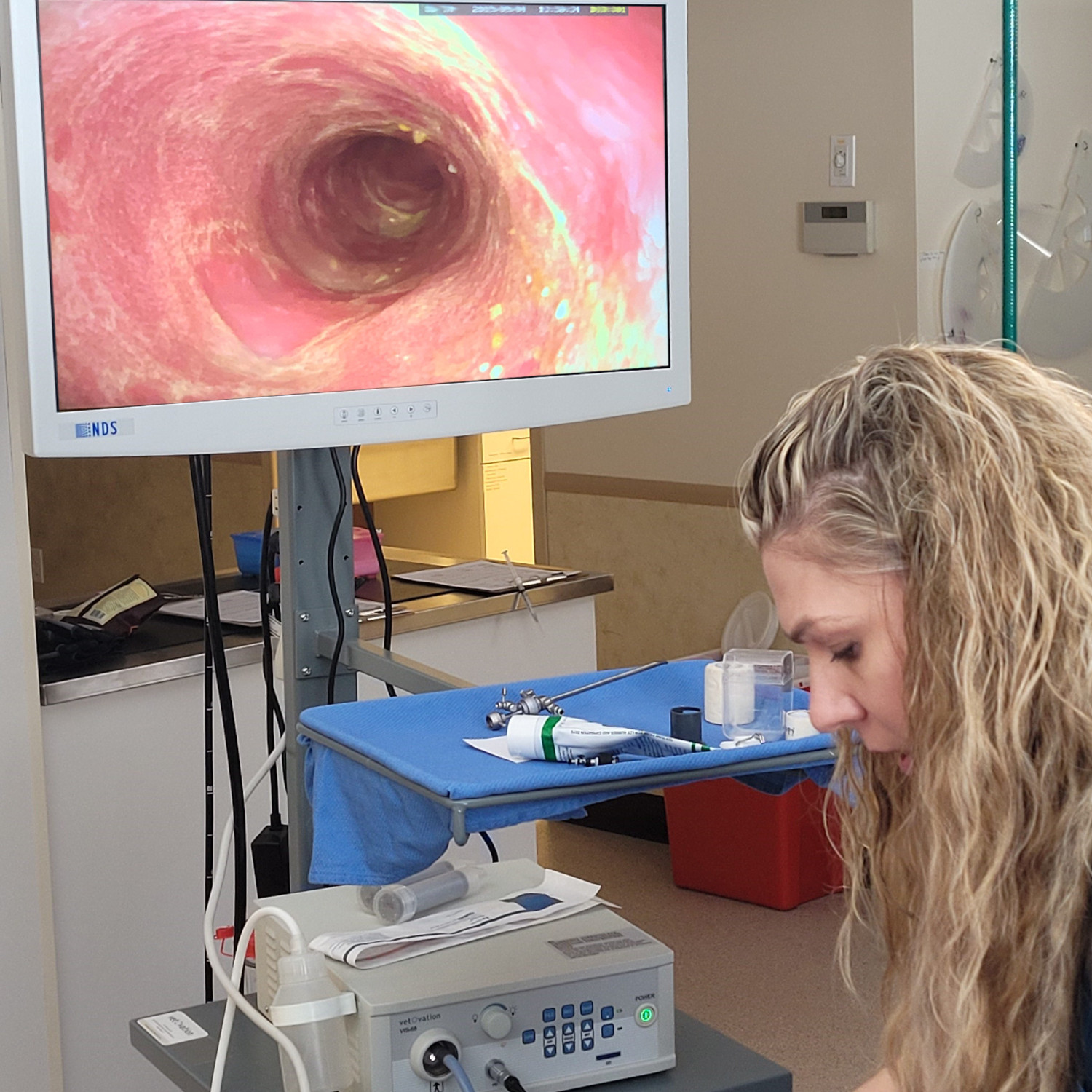 Woman performing endoscopy