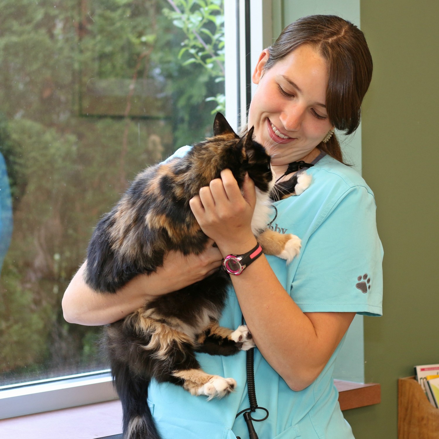 Veterinarian holding and looking at a cat