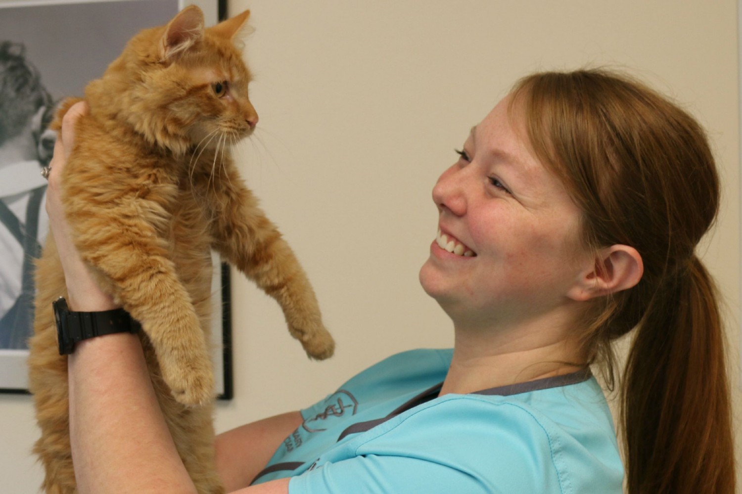 Certified Veterinary Technician at Litchfield Veterinary Hospital.  We are a Cat Friendly Practice