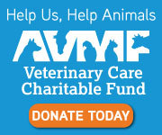 Veterinary Care Charitable Fund - Donate today!