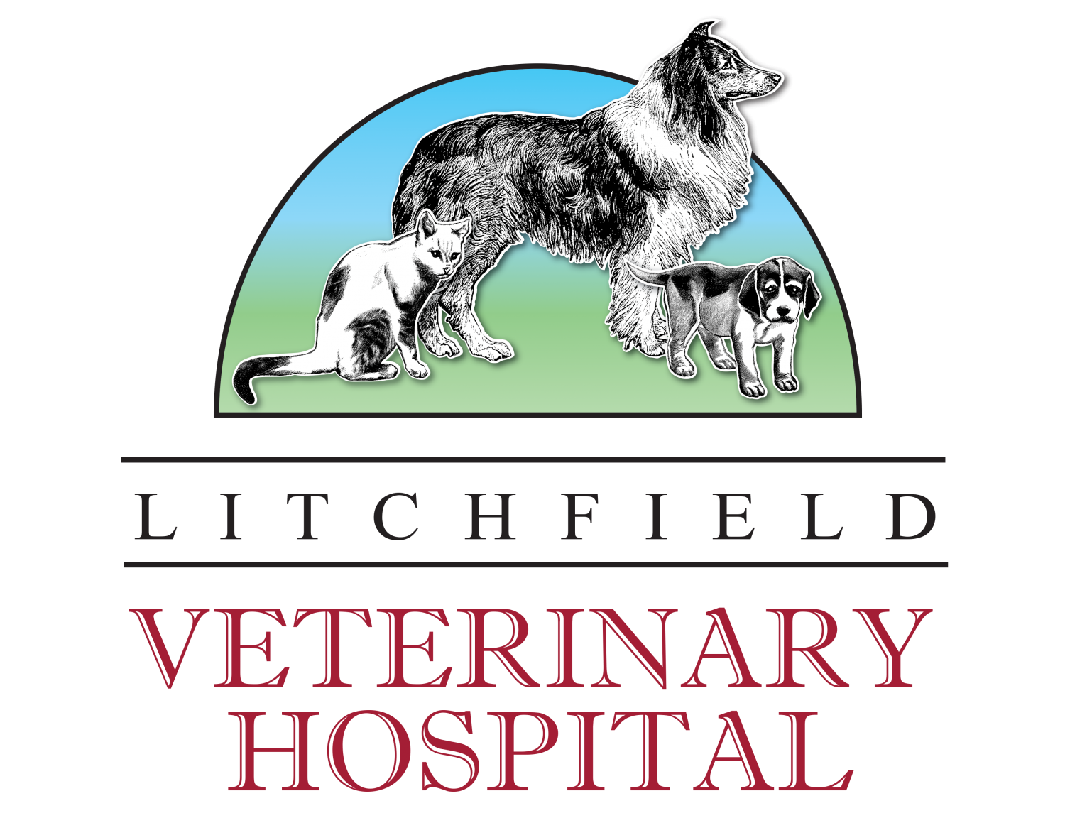 Litchfield Veterinary Hospital Logo