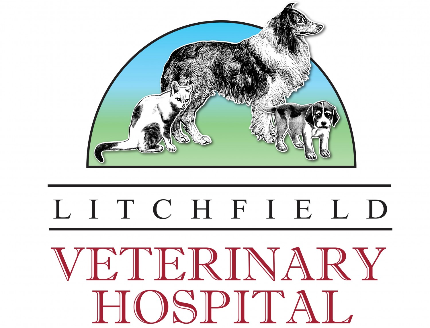 Litchfield Veterinary Hospital Logo