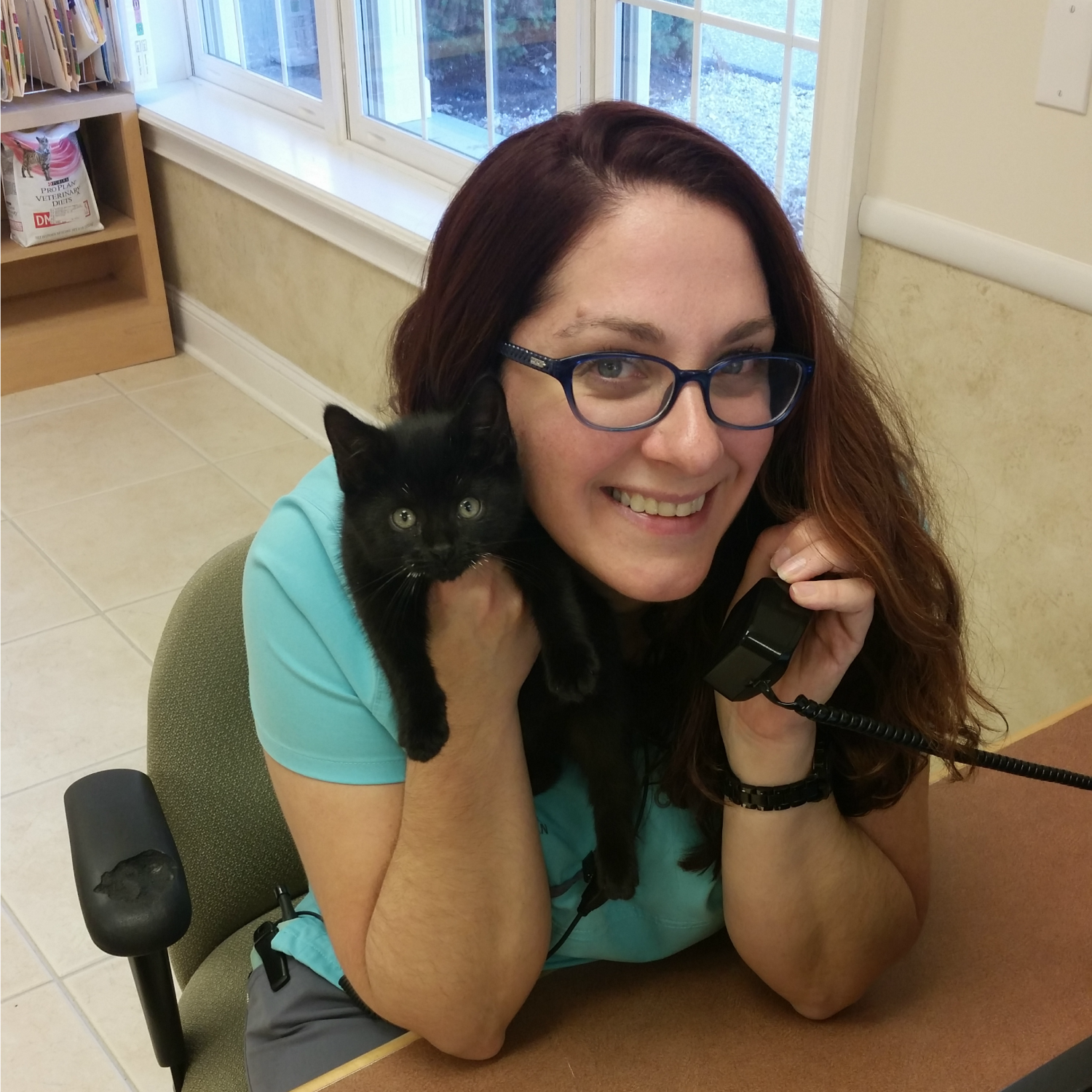 Veterinary worker on the phone holding a black kitten