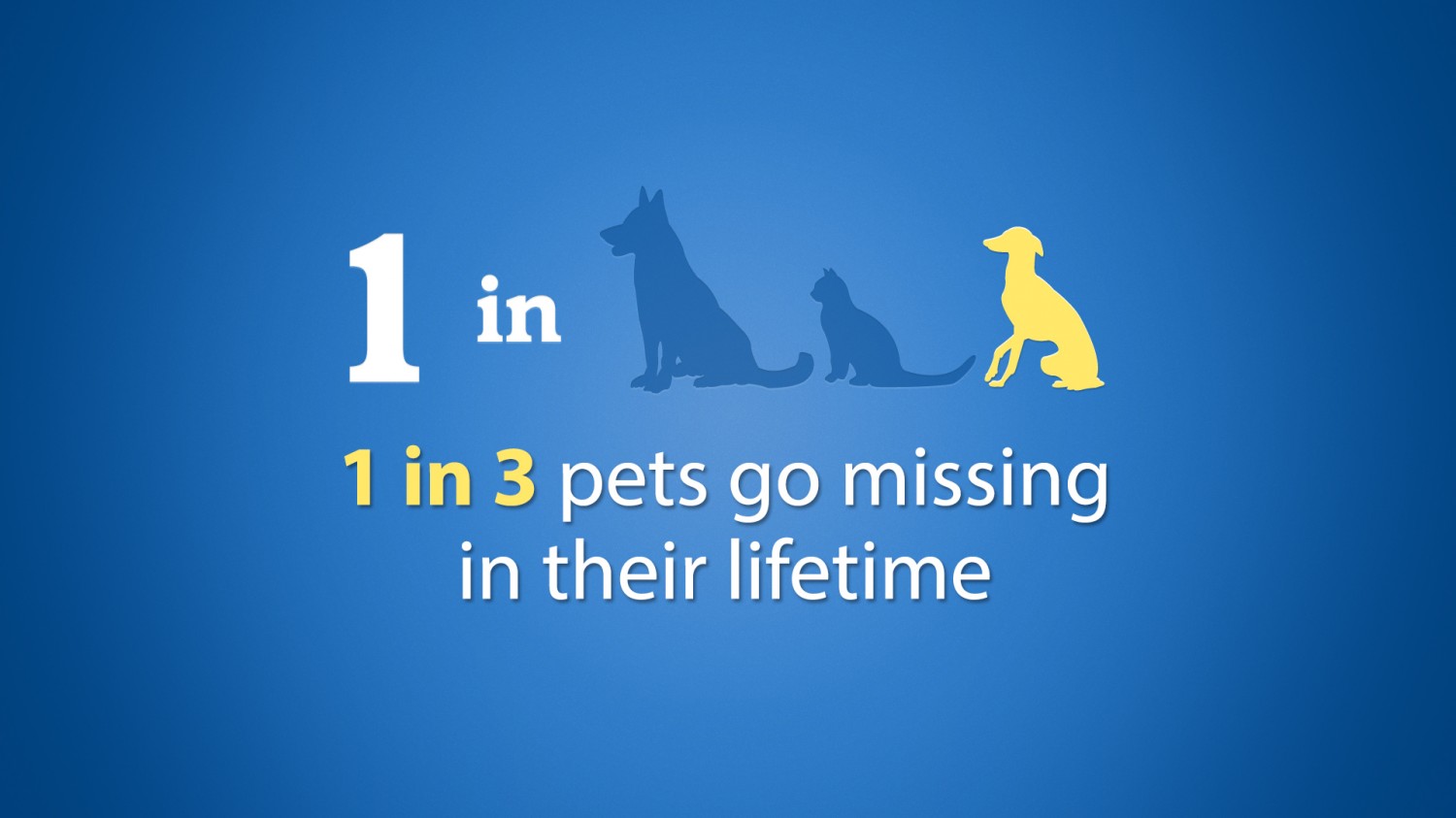 1 in 3 pets go missing in their lifetime infographic