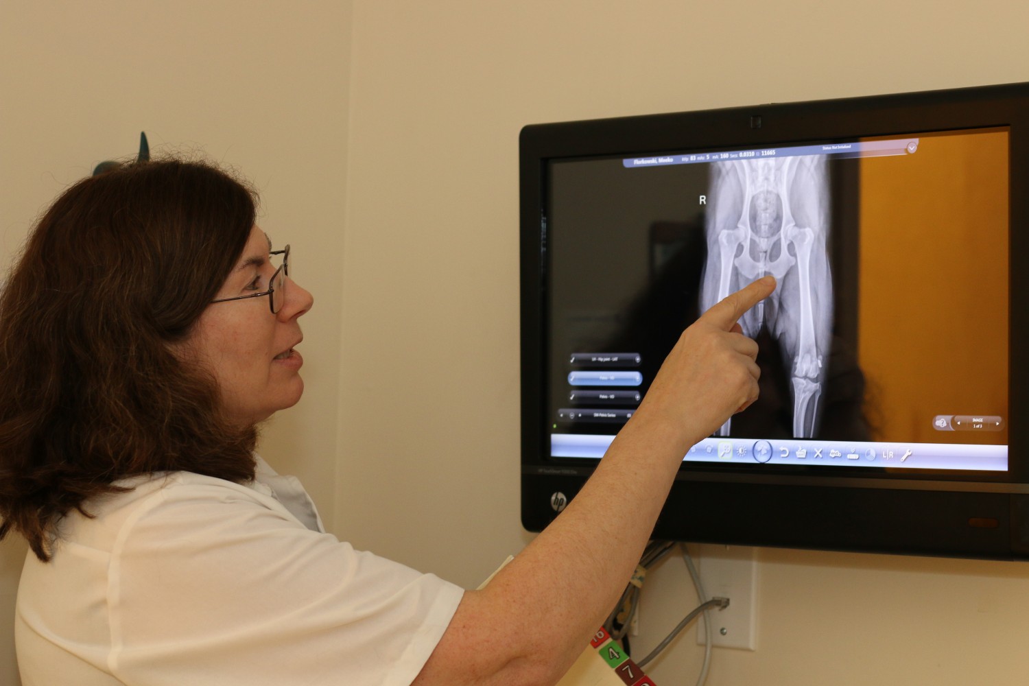 Veterinarian analyzing X-ray