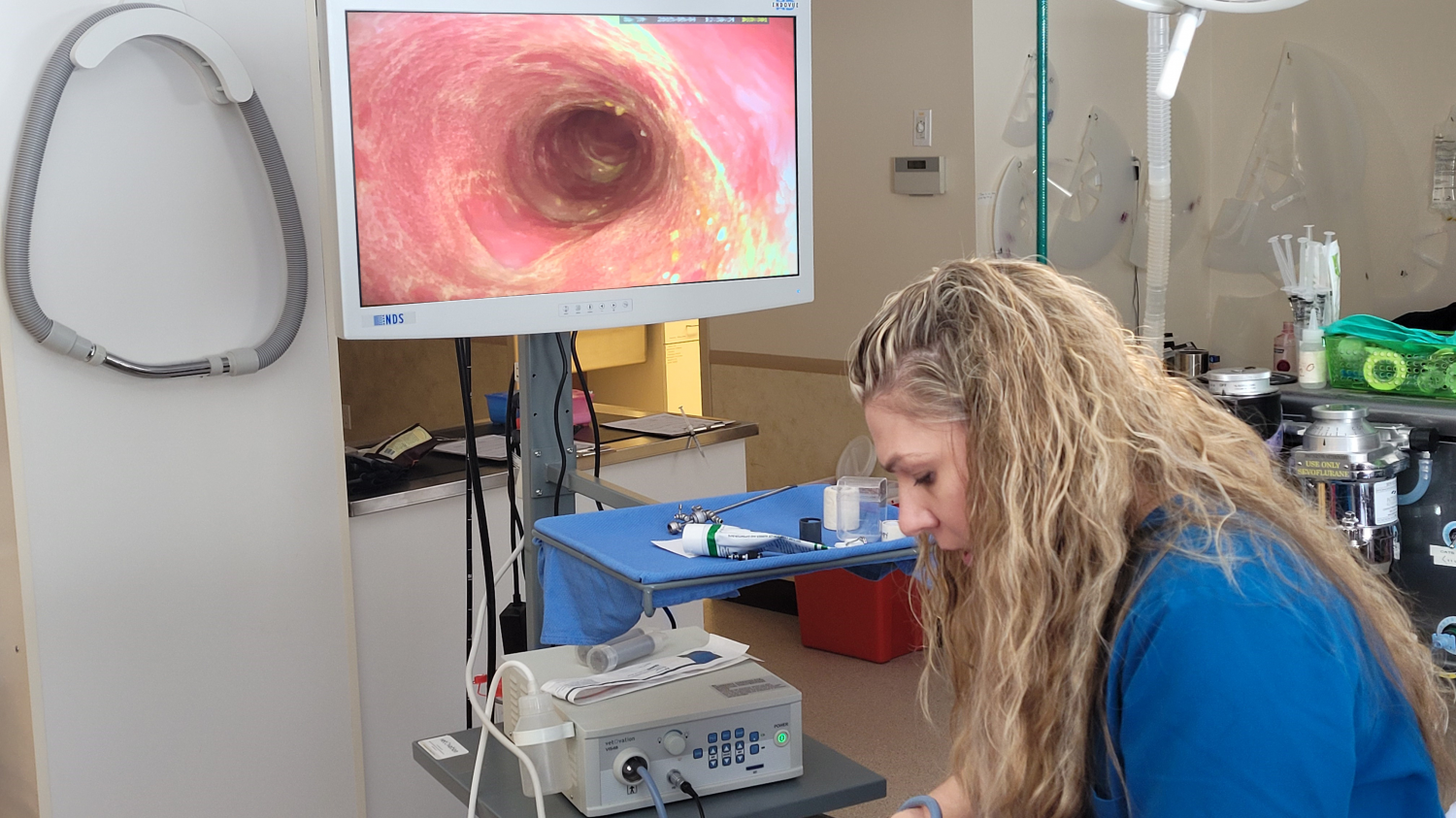 Woman performing endoscopy