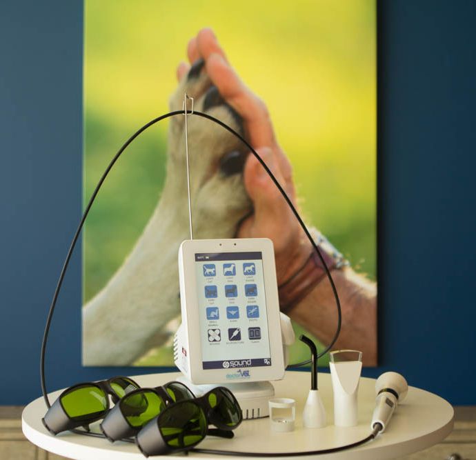 Image of a dog paw and human hand high fiving behind laser therapy equipment