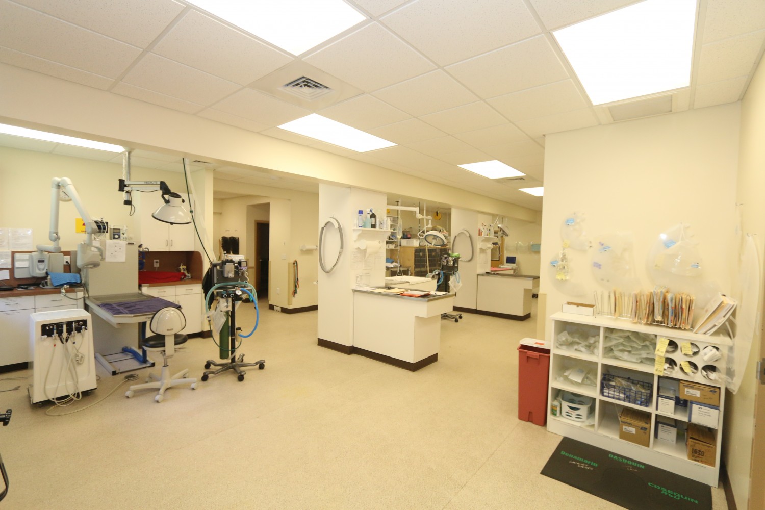 Litchfield Veterinary Hospital - Litchfield, CT - Treatment Room