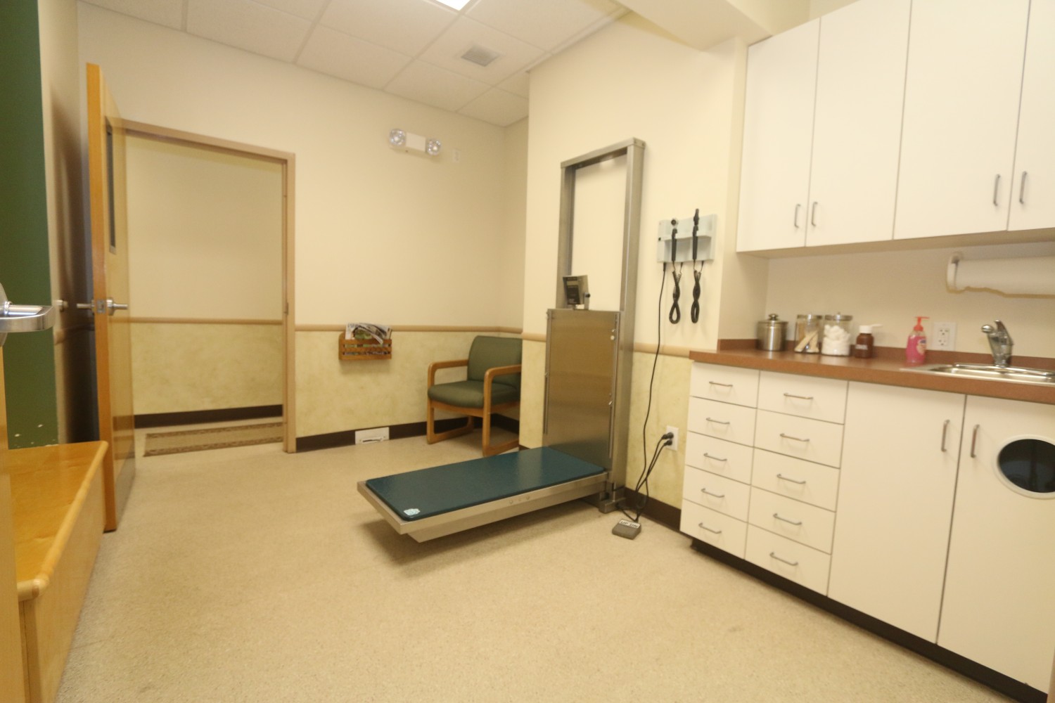 Litchfield Veterinary Hospital - Litchfield, CT - Exam Room