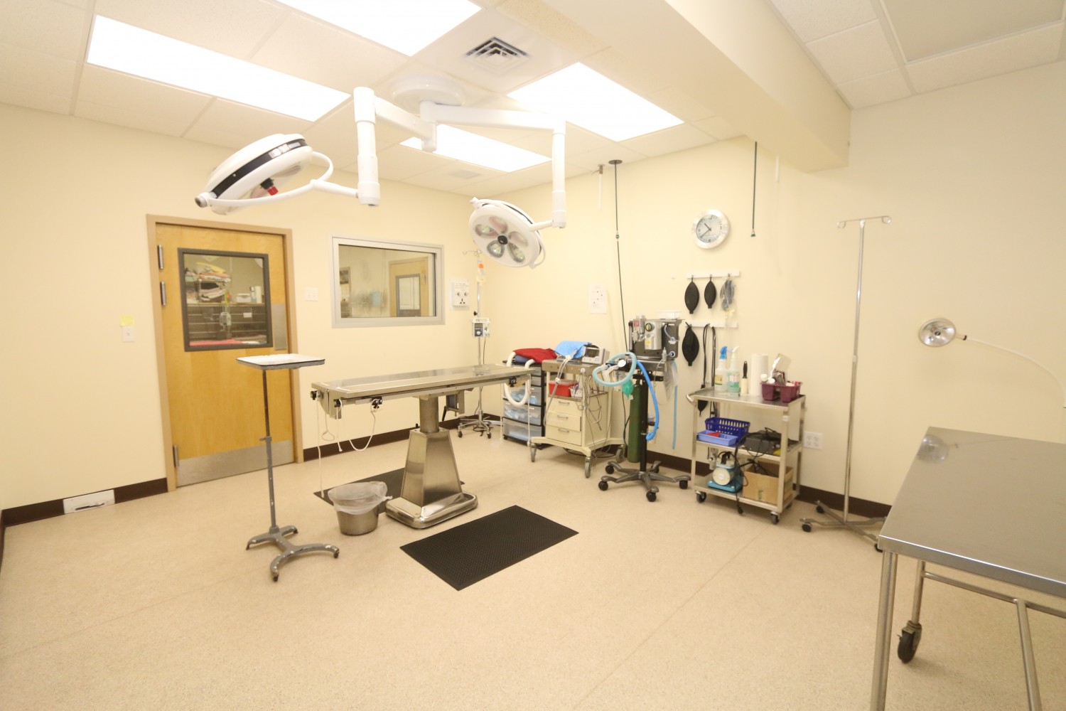 Litchfield Veterinary Hospital - Litchfield, CT - Surgical Suite