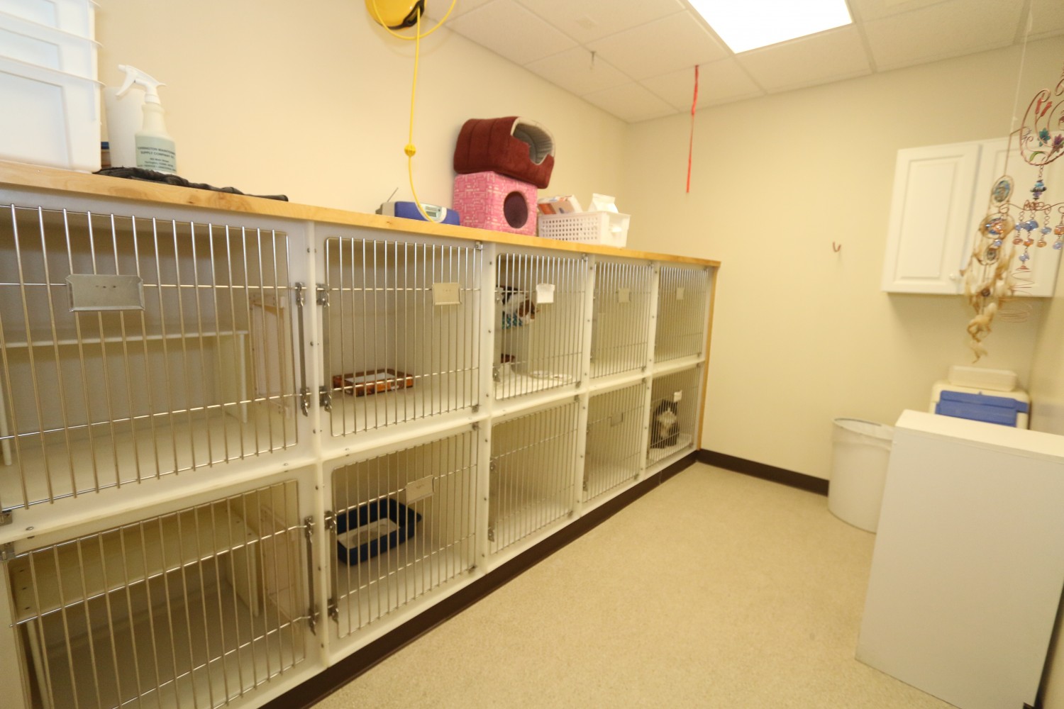 Litchfield Veterinary Hospital - Litchfield, CT - Cat Ward