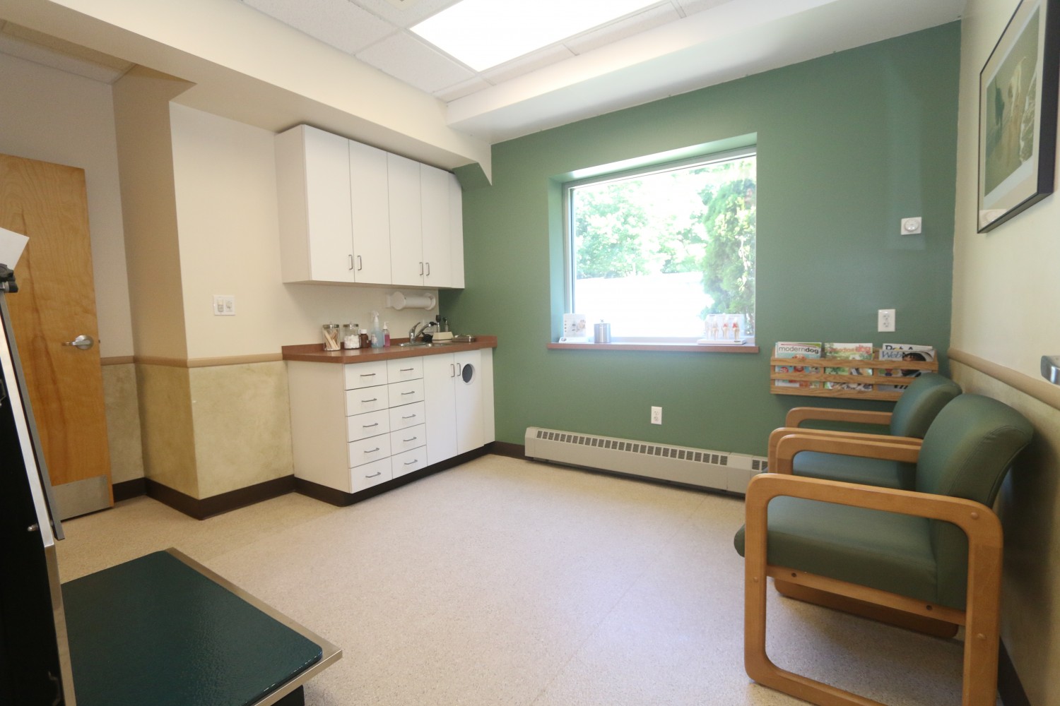 Litchfield Veterinary Hospital - Litchfield, CT - Exam Room