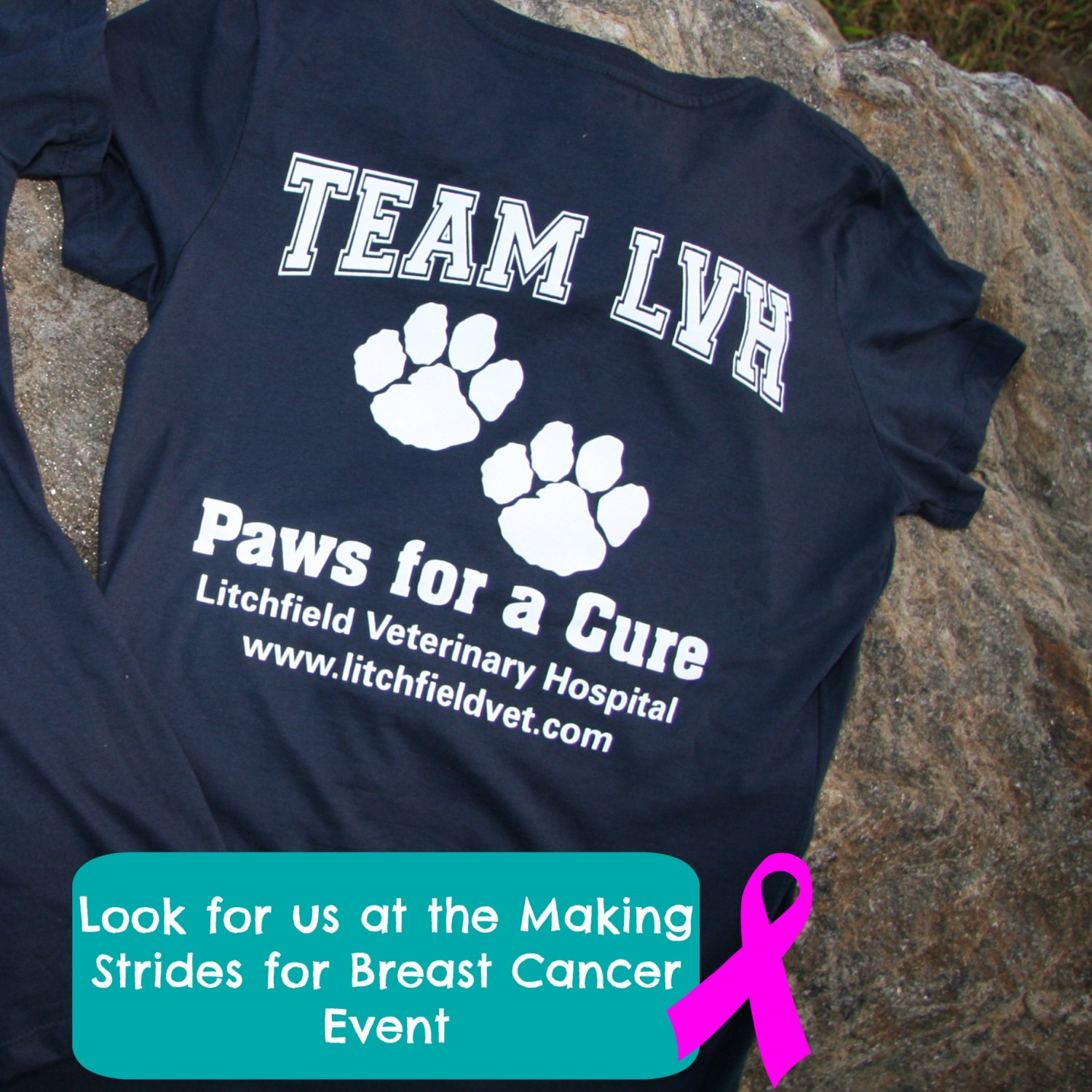 Picture of Team LVH Paws for a Cure shirt