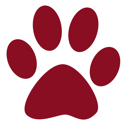 paw icon