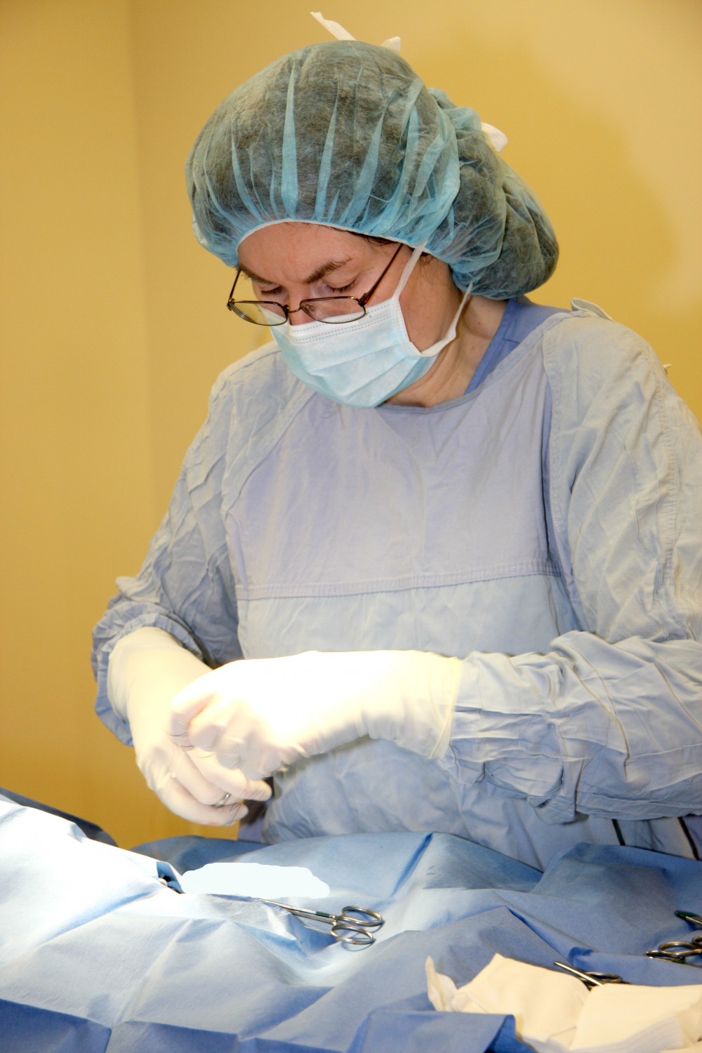 Veterinary worker performing surgery